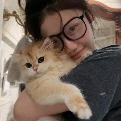 米老鼠之猎犬海报